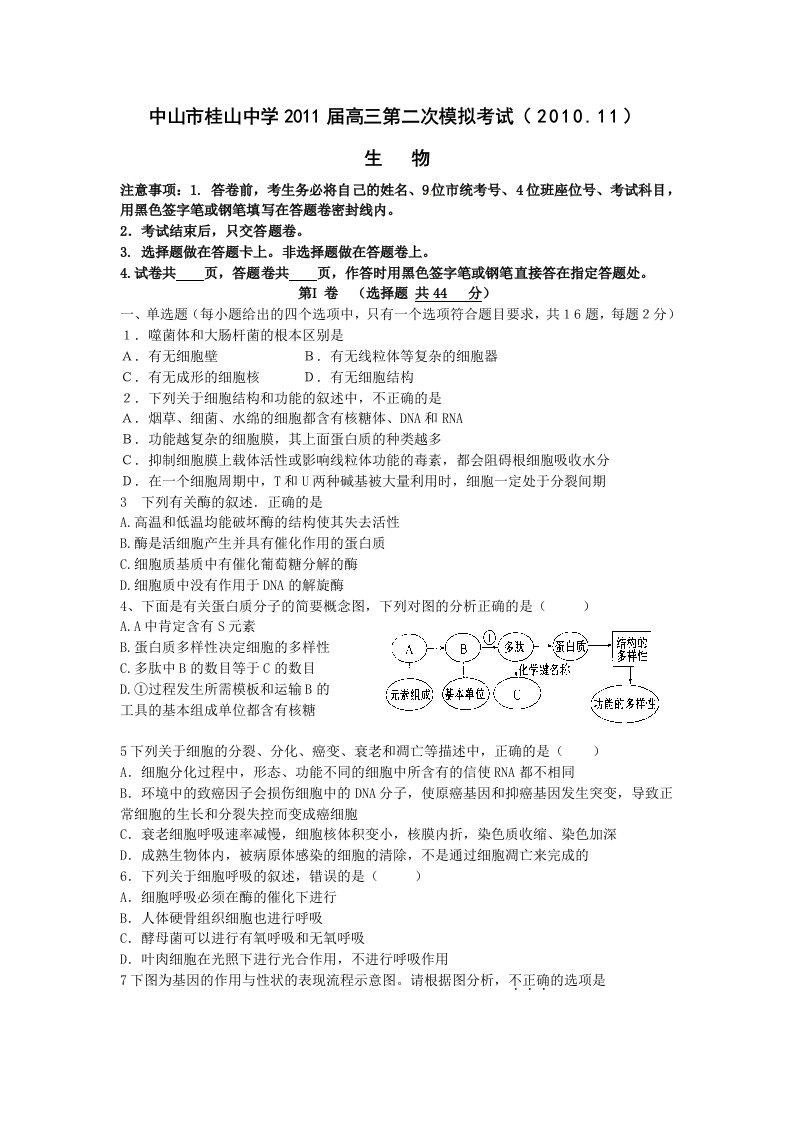 中山市桂山中学2011届高三第二次模拟考试生物