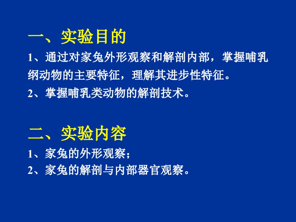 实验6家兔的外形观察和内部解剖