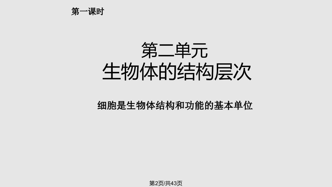 新人教七年级生物上册复习