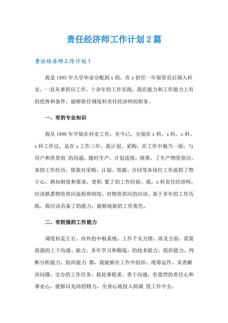 责任经济师工作计划2篇