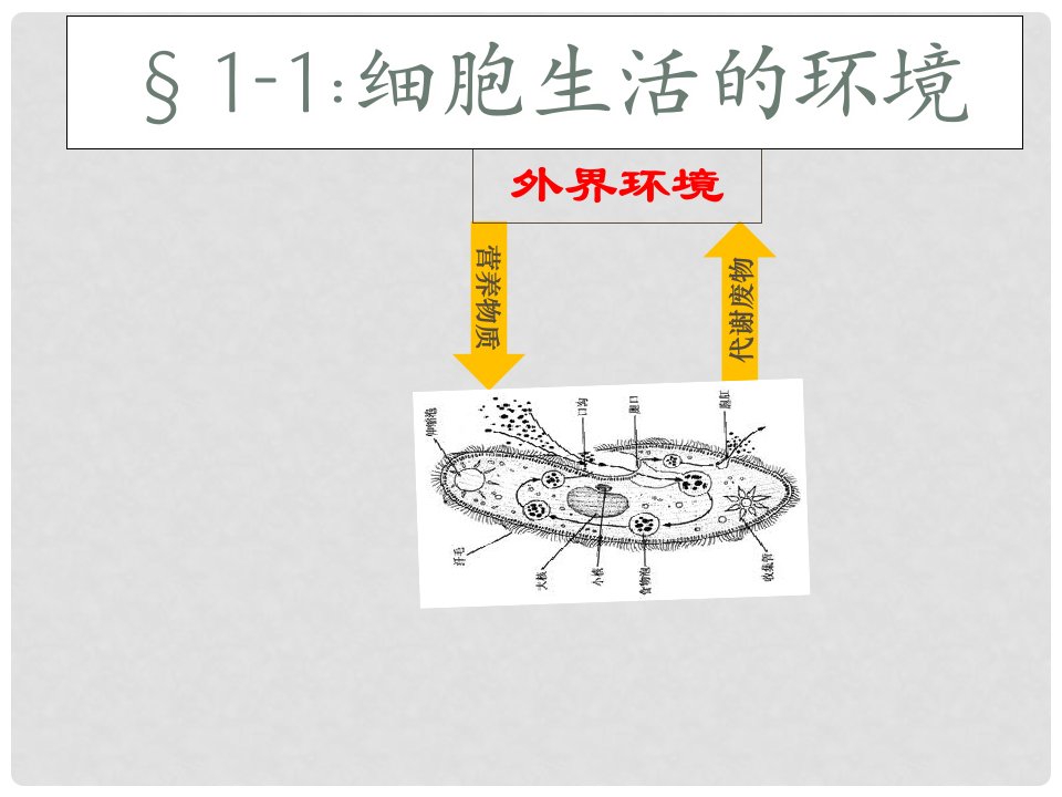 高中生物