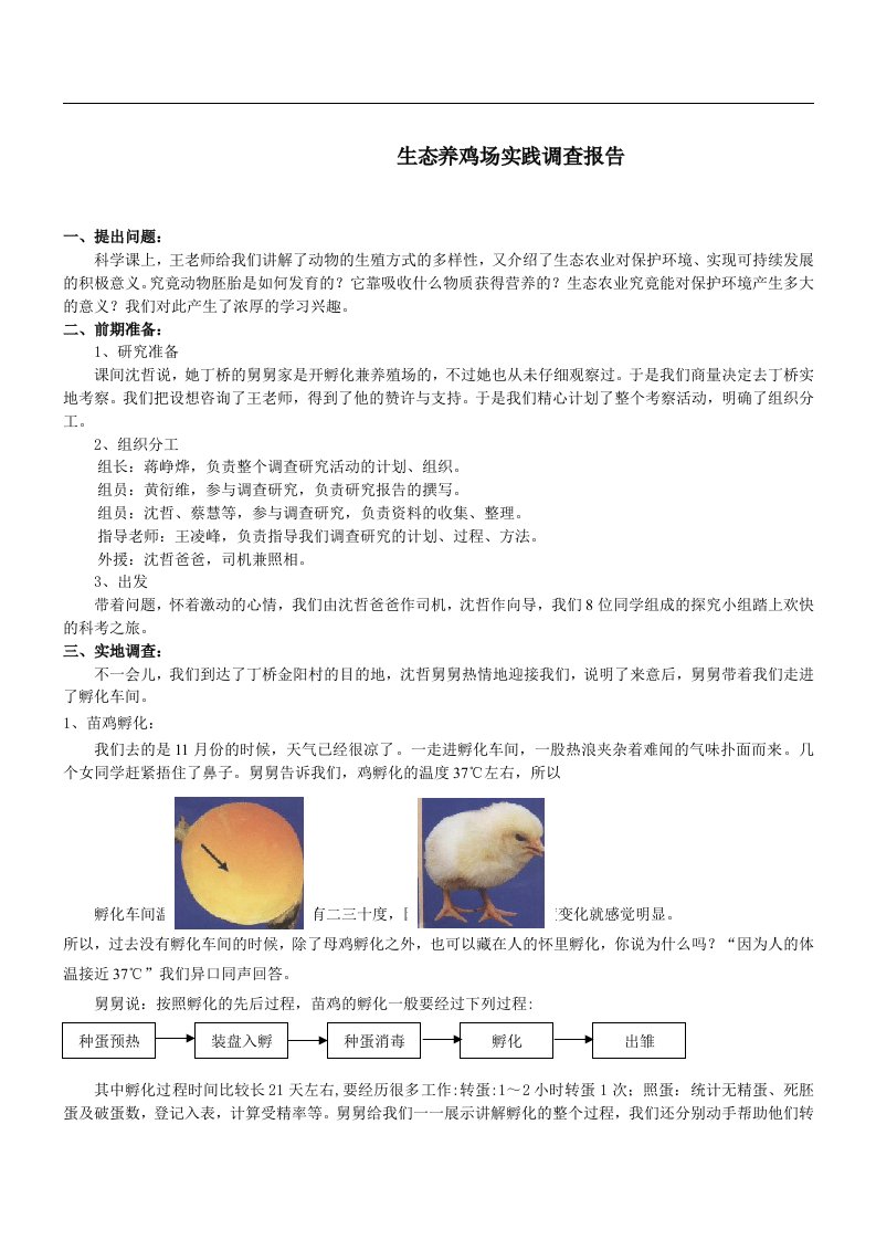 综合实践活动《生态养鸡场实践调查报告》