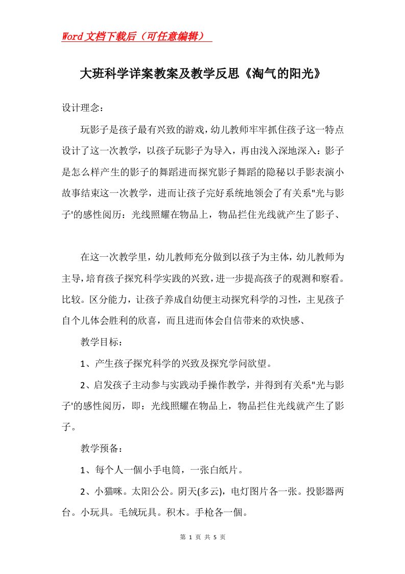 大班科学详案教案及教学反思淘气的阳光