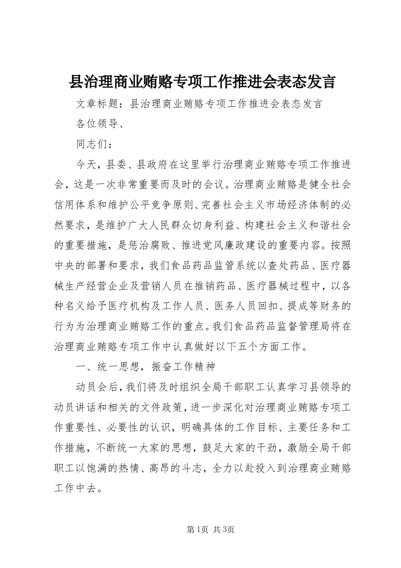 县治理商业贿赂专项工作推进会表态发言