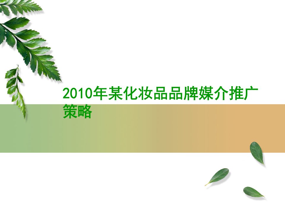 2010年某化妆品品牌媒介推广策略媒介计划