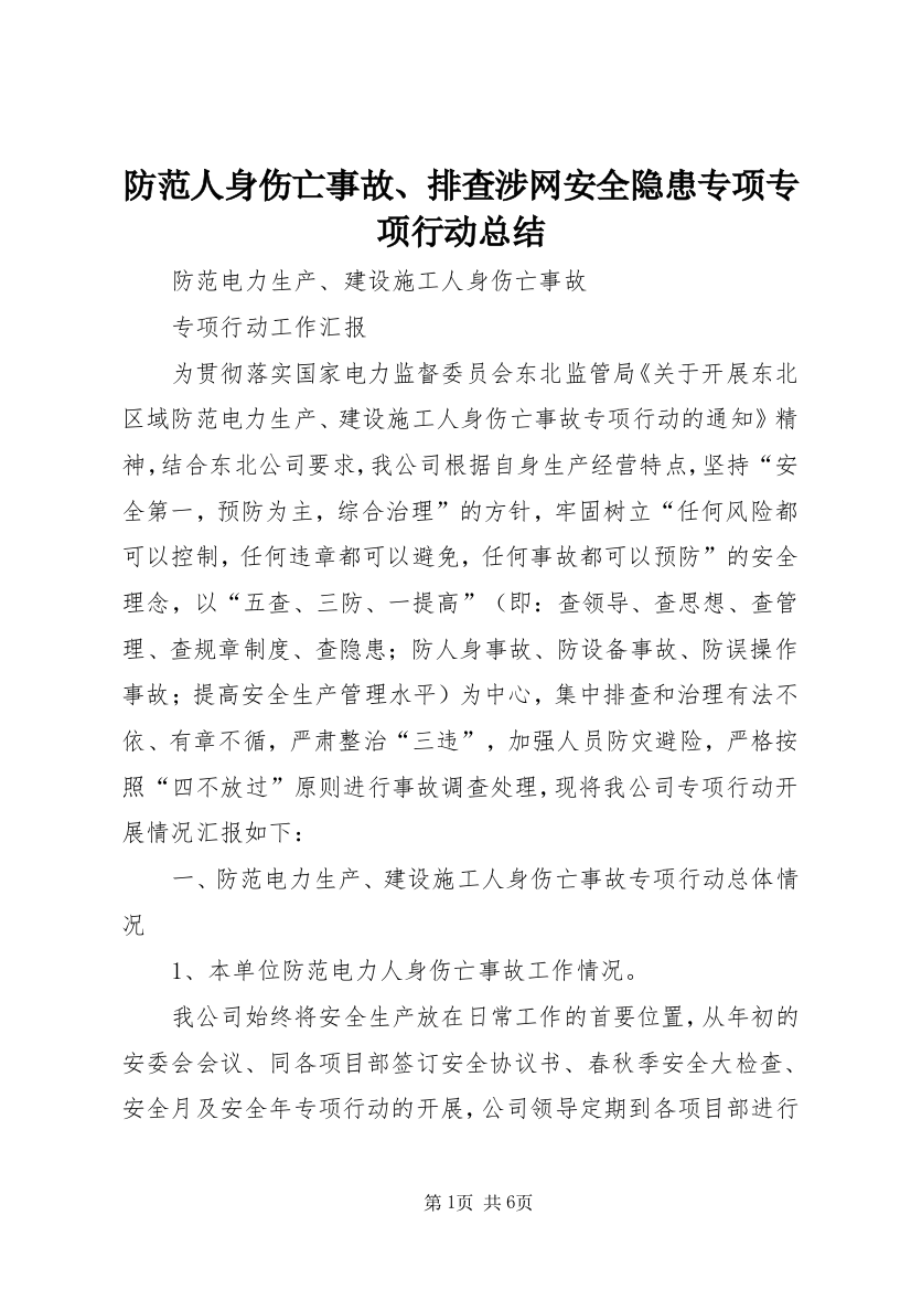 防范人身伤亡事故、排查涉网安全隐患专项专项行动总结