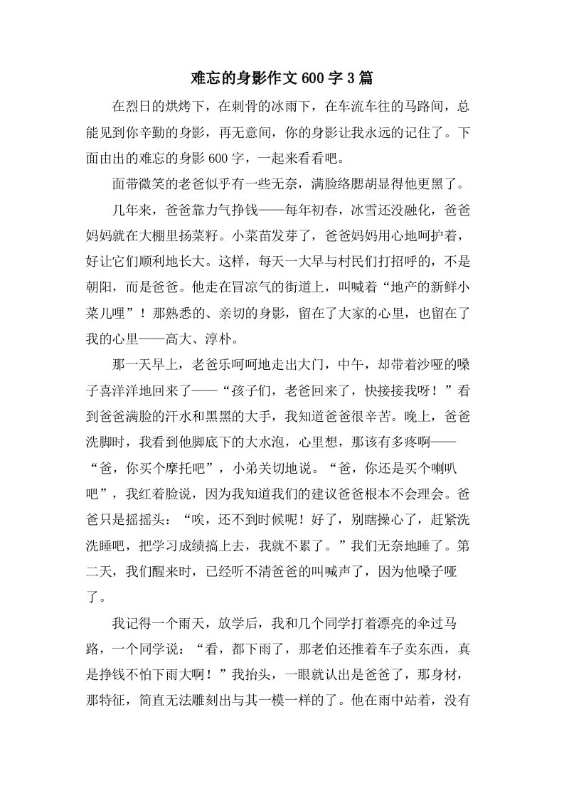 难忘的身影作文600字3篇