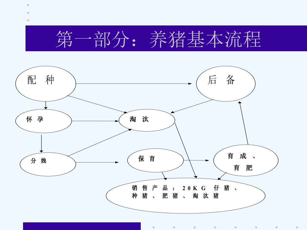 猪场管理培训手册