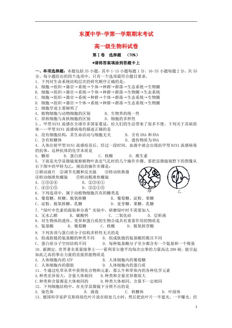 广东省汕头市金平区高一生物上学期期末试题新人教版