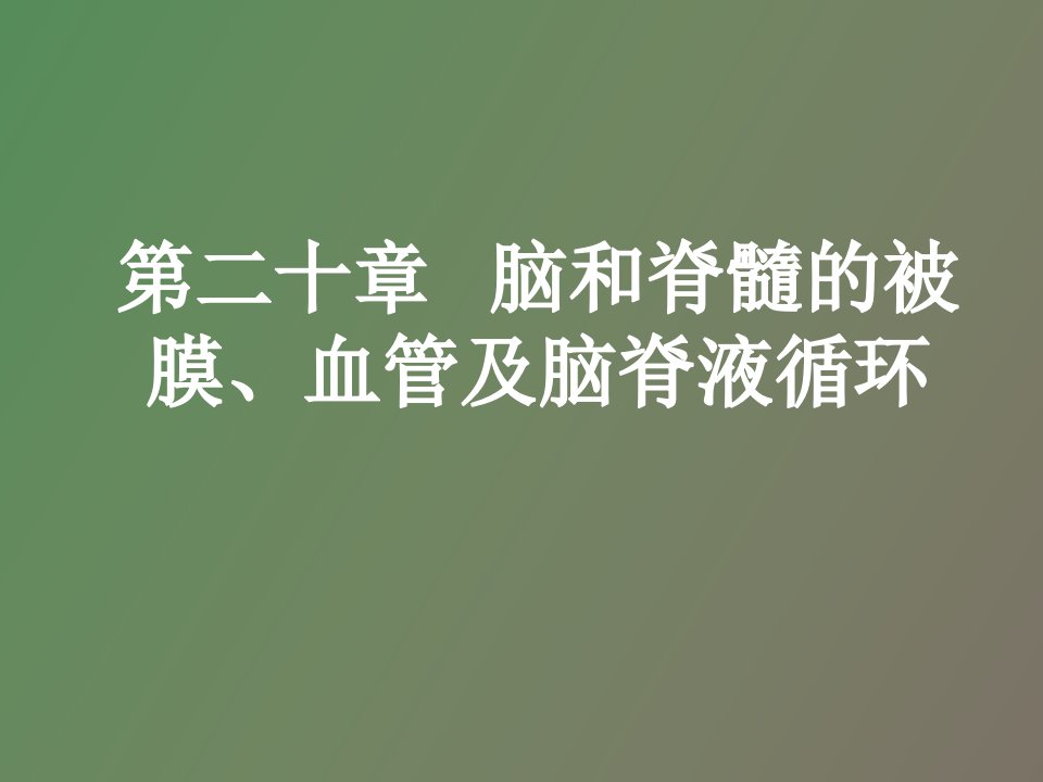 脑和脊髓的被膜、血管及脑脊液