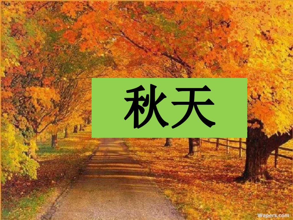 二年级上册《秋天》