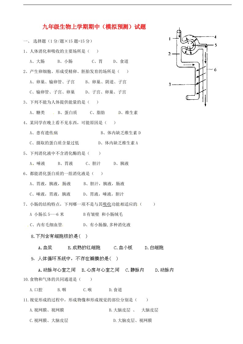 内蒙古呼和浩特市锦盛达学校九级生物上学期期中模拟预测试题（无答案）