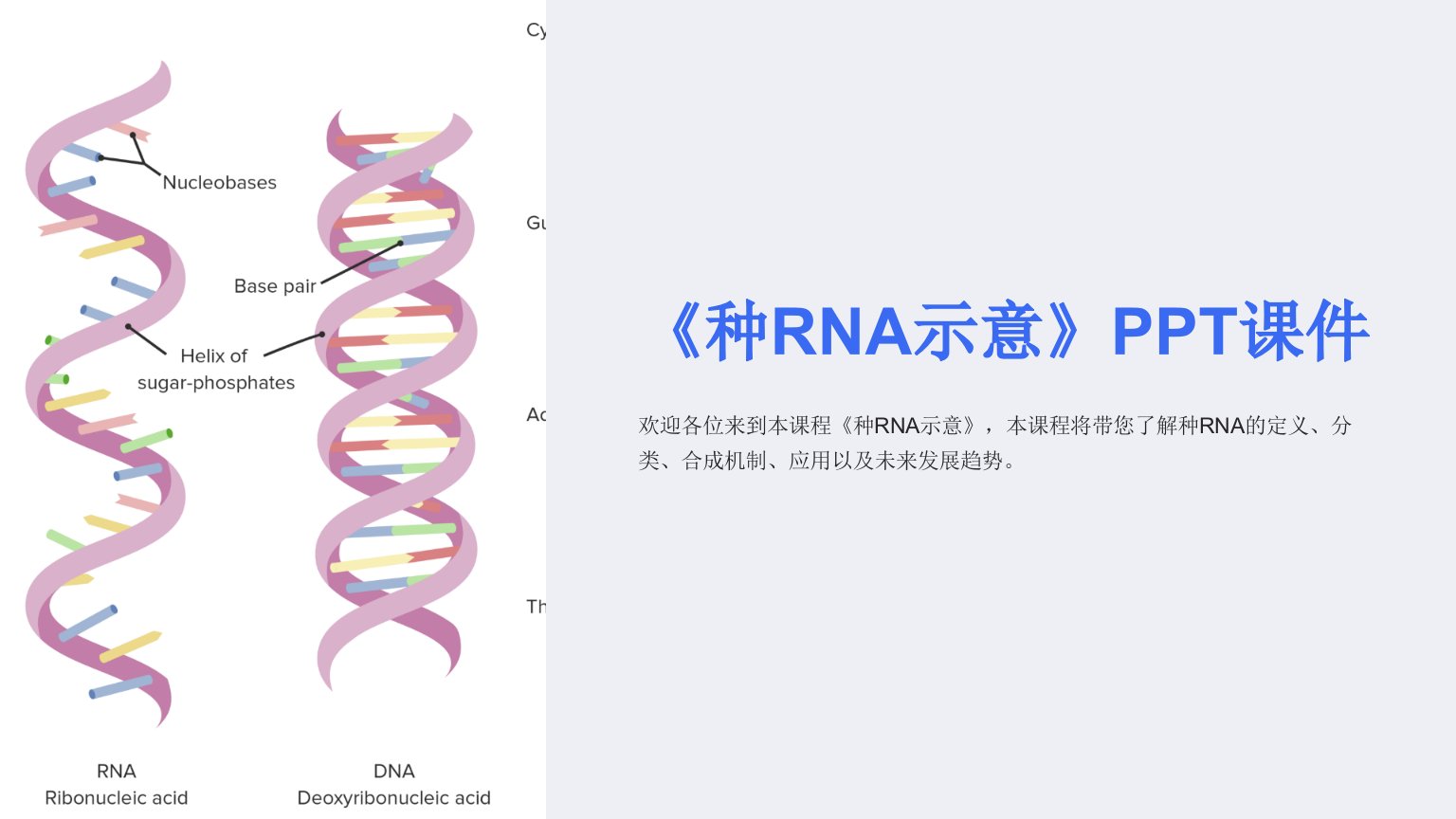 《种RNA示意》课件