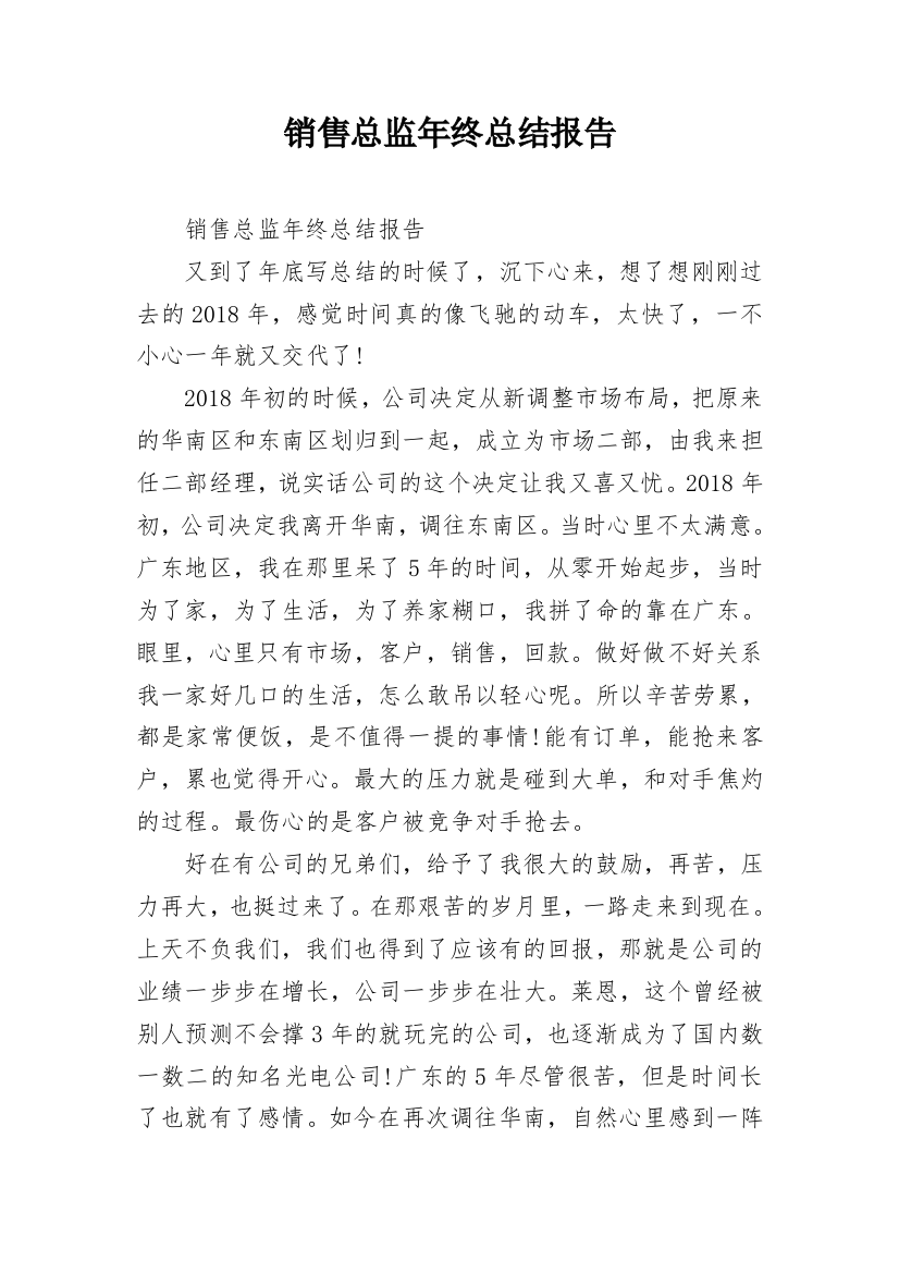 销售总监年终总结报告