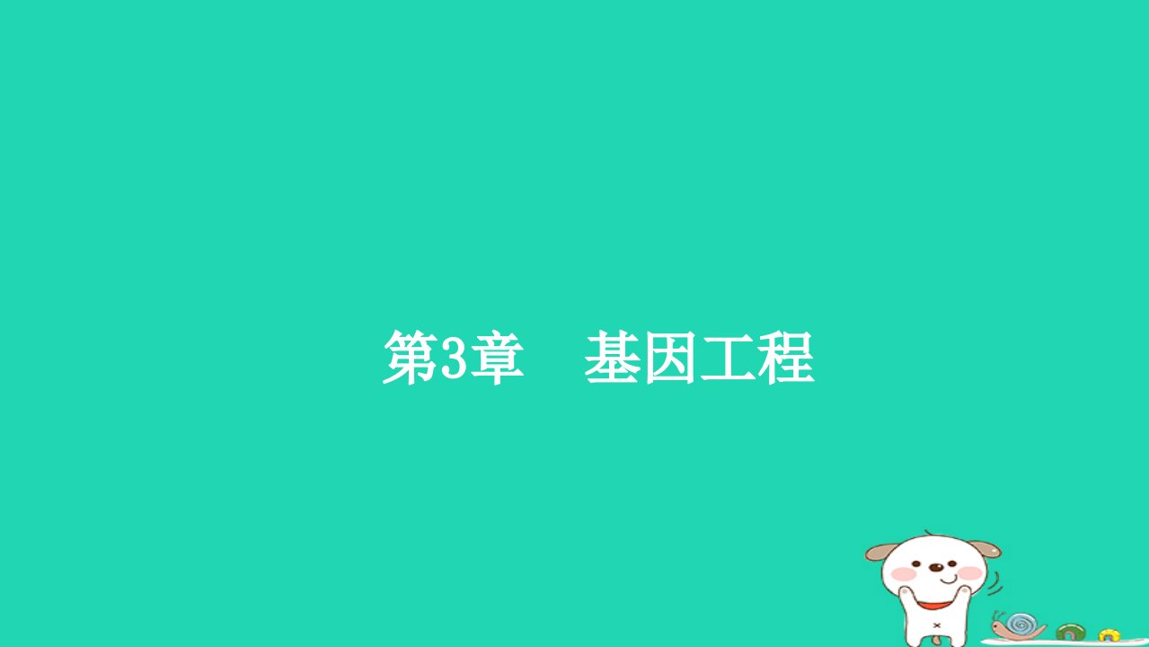 2022_2023学年新教材高中生物第3章基因工程第1节重组DNA技术的基本工具课件新人教版选择性必修31