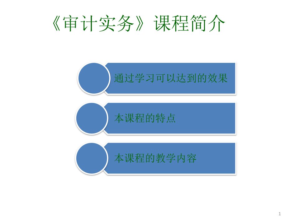 教学课件审计实务第二版1