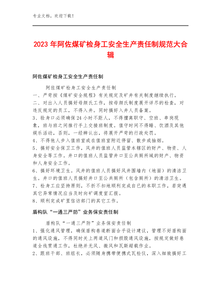 2023年阿佐煤矿检身工安全生产责任制规范大合辑