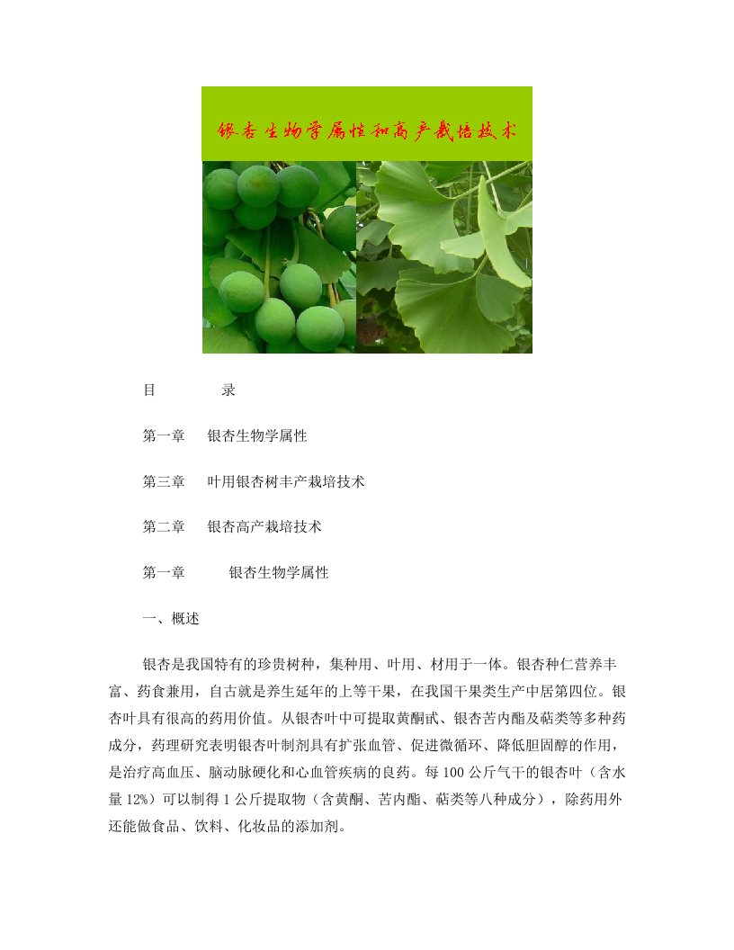 银杏生物学属性及高产栽培技术