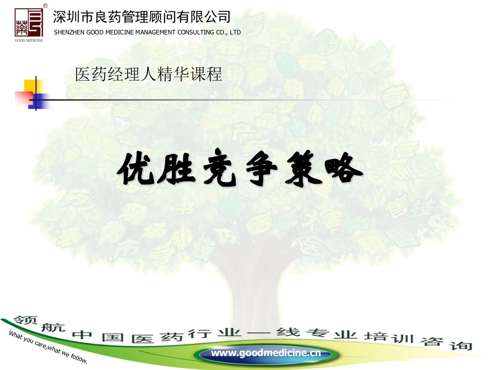 医药经理人精华课程《优胜竞争策略》