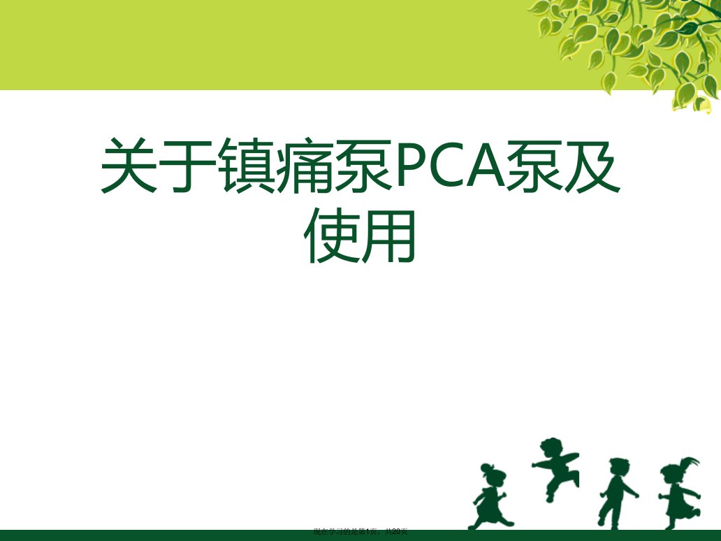 镇痛泵PCA泵及使用课件