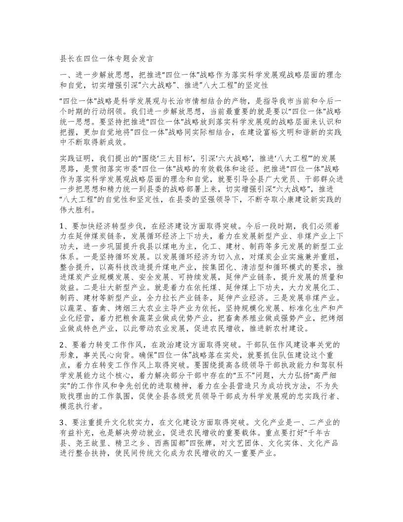 县长在四位一体专题会发言