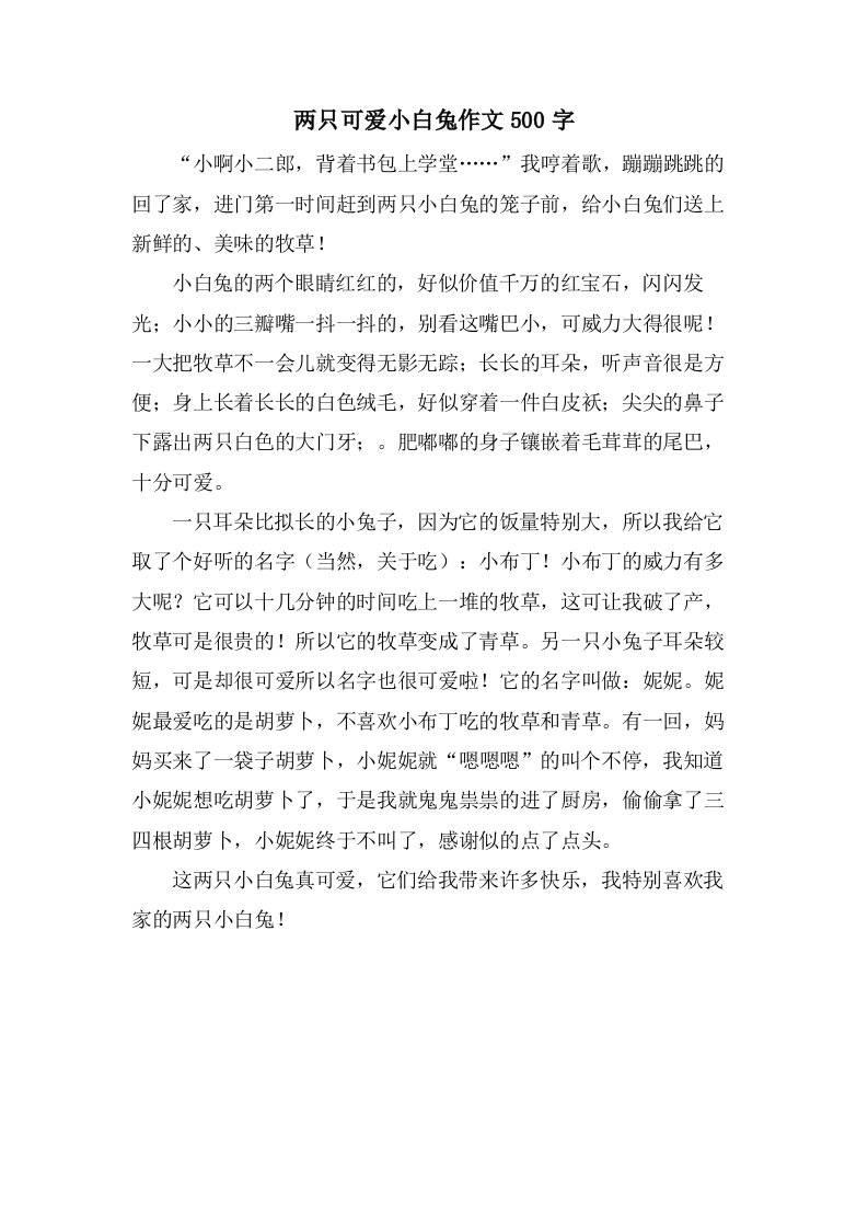 两只可爱小白兔作文500字