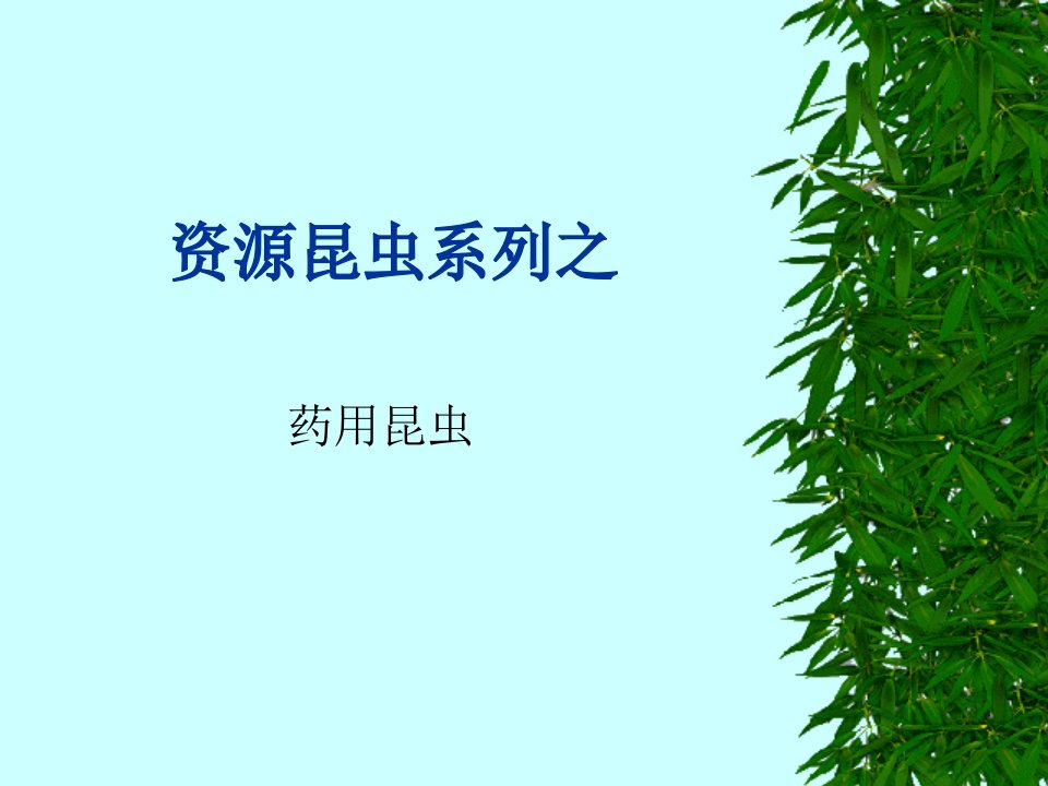 《heriacal药用昆虫》PPT课件