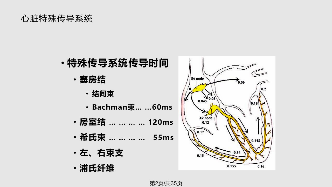 射频消融标测技术要点课件