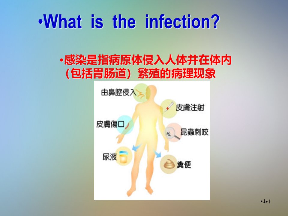 医院感染诊断标准及暴发报告及处置管理规范课件