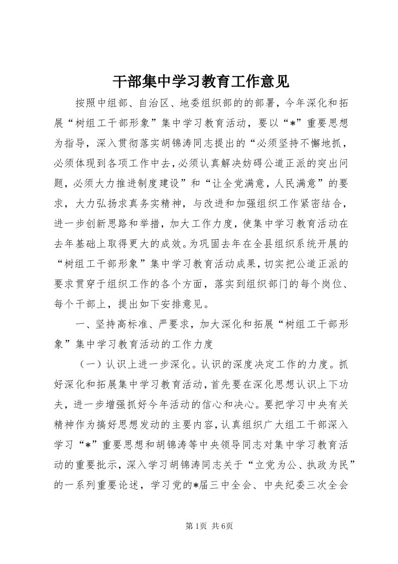 干部集中学习教育工作意见