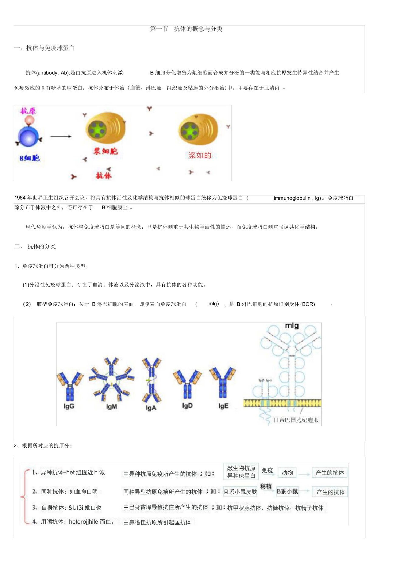 抗体简述