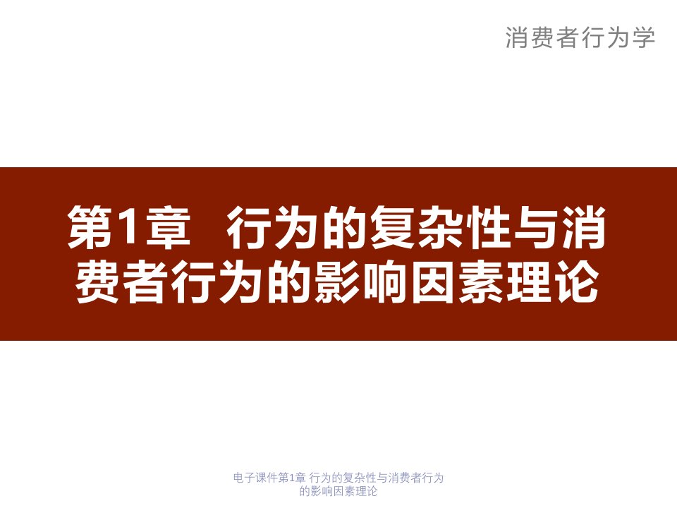 电子课件第1章行为的复杂性与消费者行为的影响因素理论