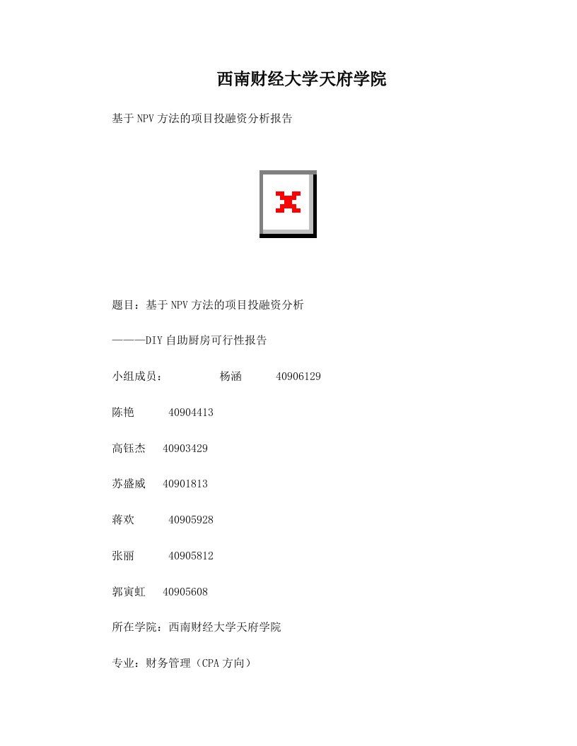 基于npv方法的项目投融资报告书