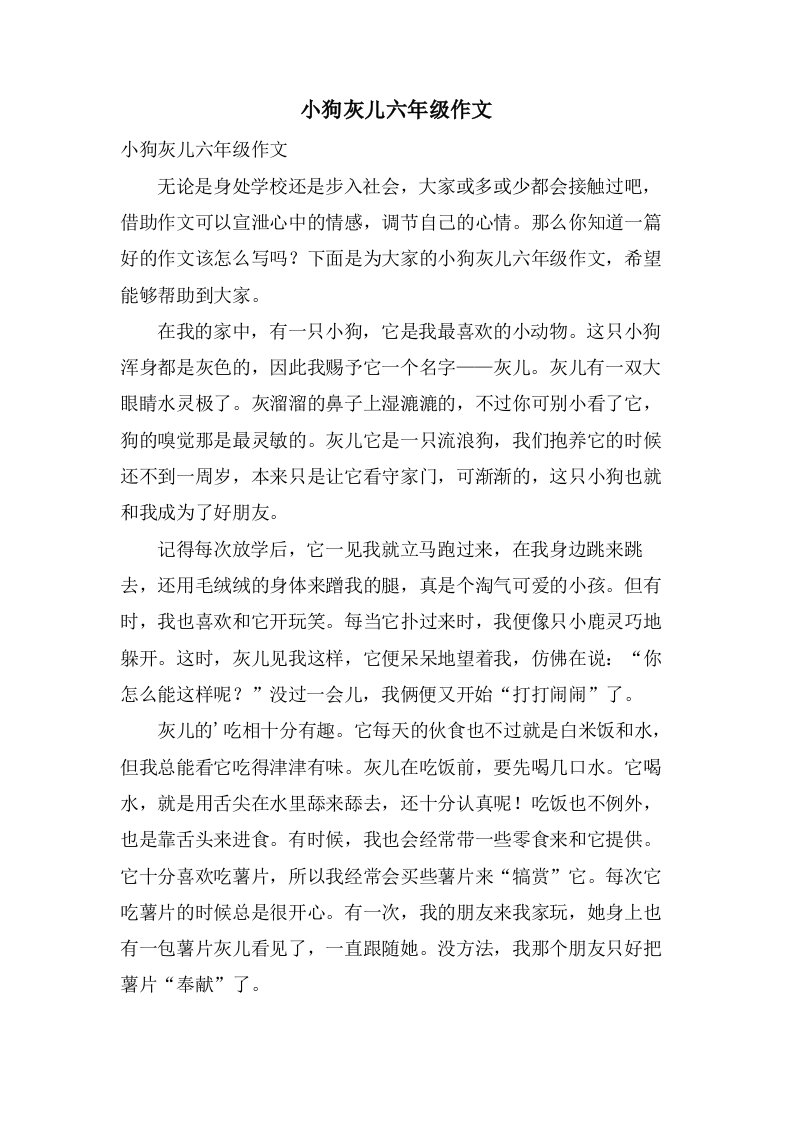 小狗灰儿六年级作文