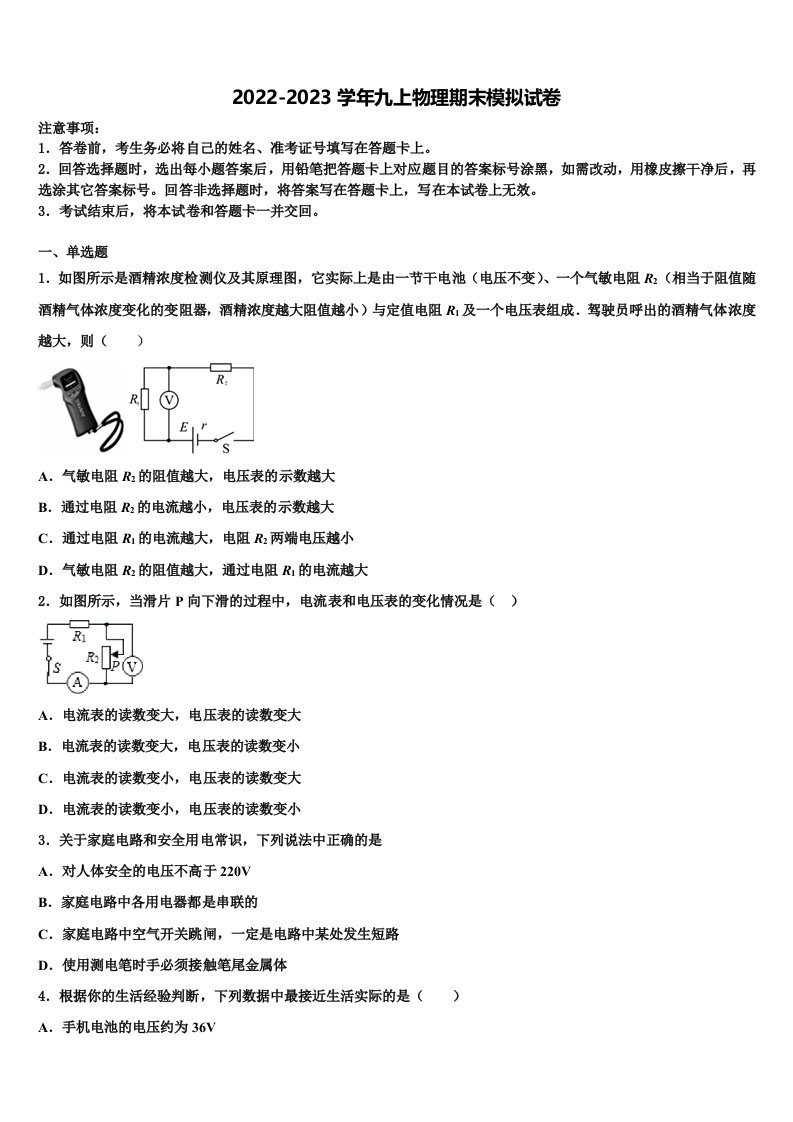 2022-2023学年绥化市重点中学物理九年级第一学期期末联考试题含解析