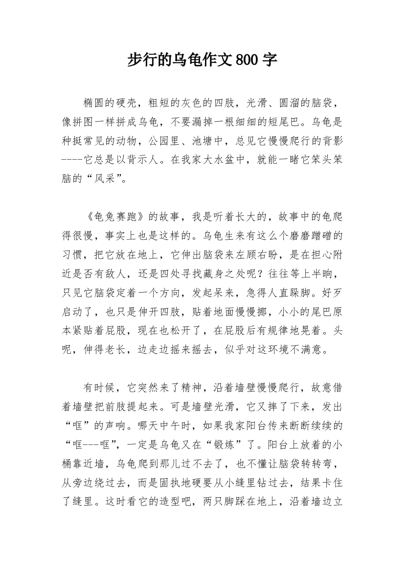 步行的乌龟作文800字