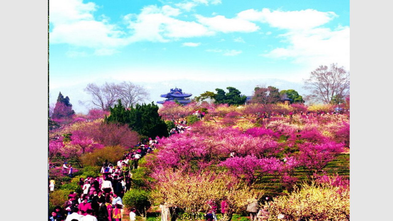 春到梅花山学习