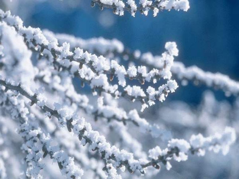 人教版小学一年级语文雪地里的小画家课件