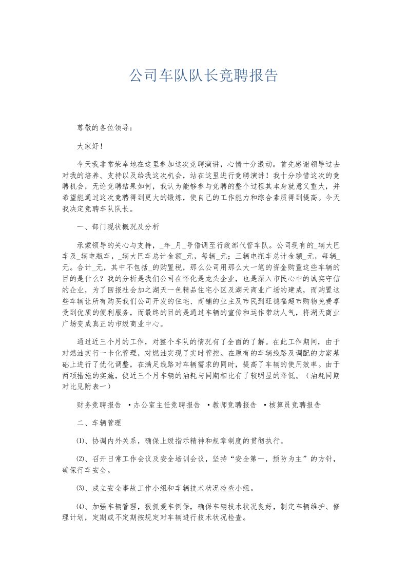 总结报告公司车队队长竞聘报告