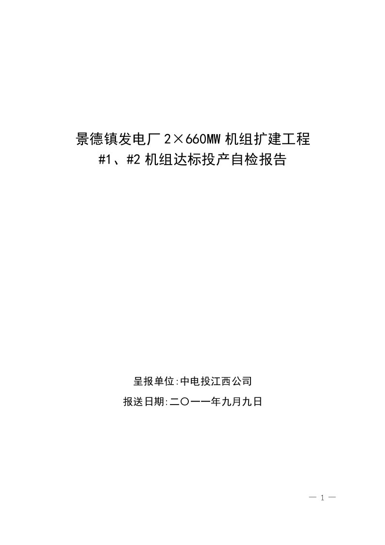 景德镇项目达标投产自检报告（正式）