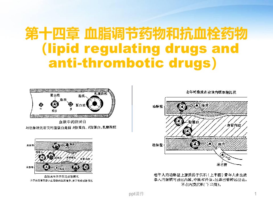 调血脂药物和抗血栓药物-课件