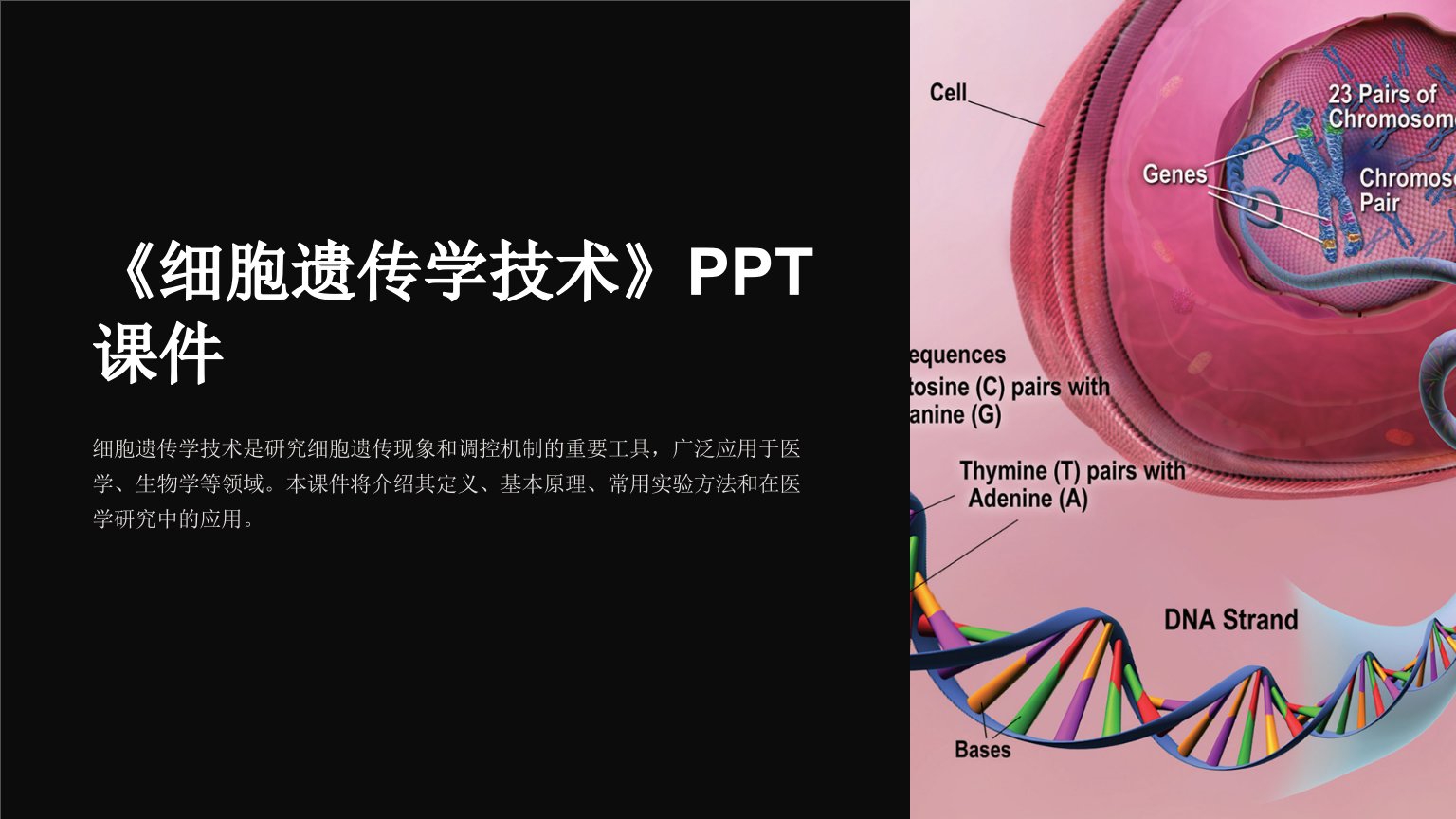 《细胞遗传学技术》课件