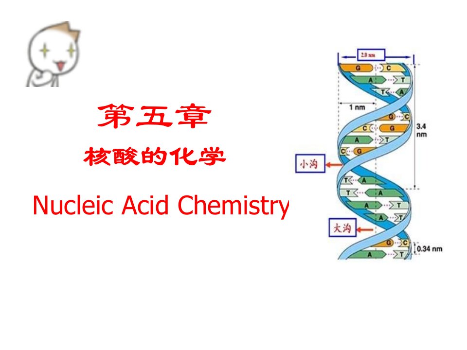 3-核酸化学2课件