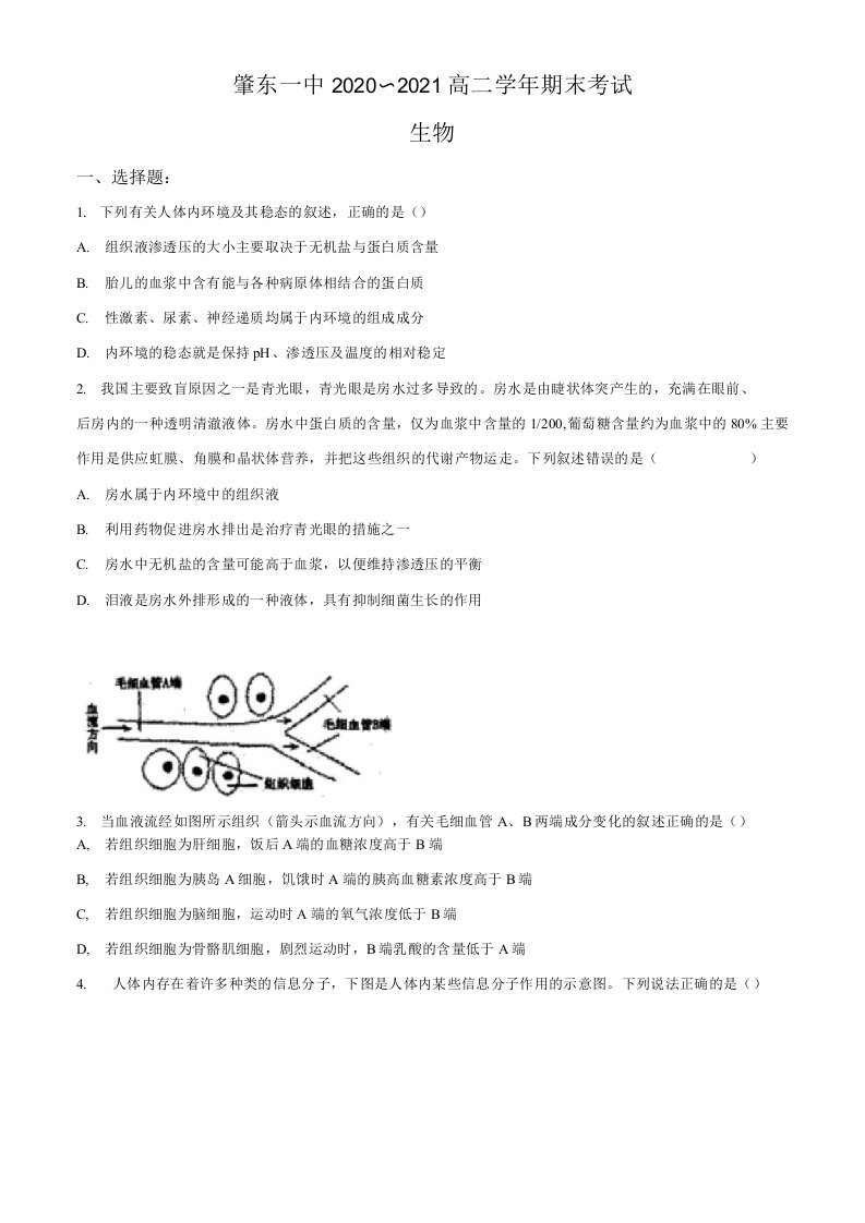 黑龙江省绥化市肇东一中2020-2021学年高二上学期期末考试生物试题（含答案）