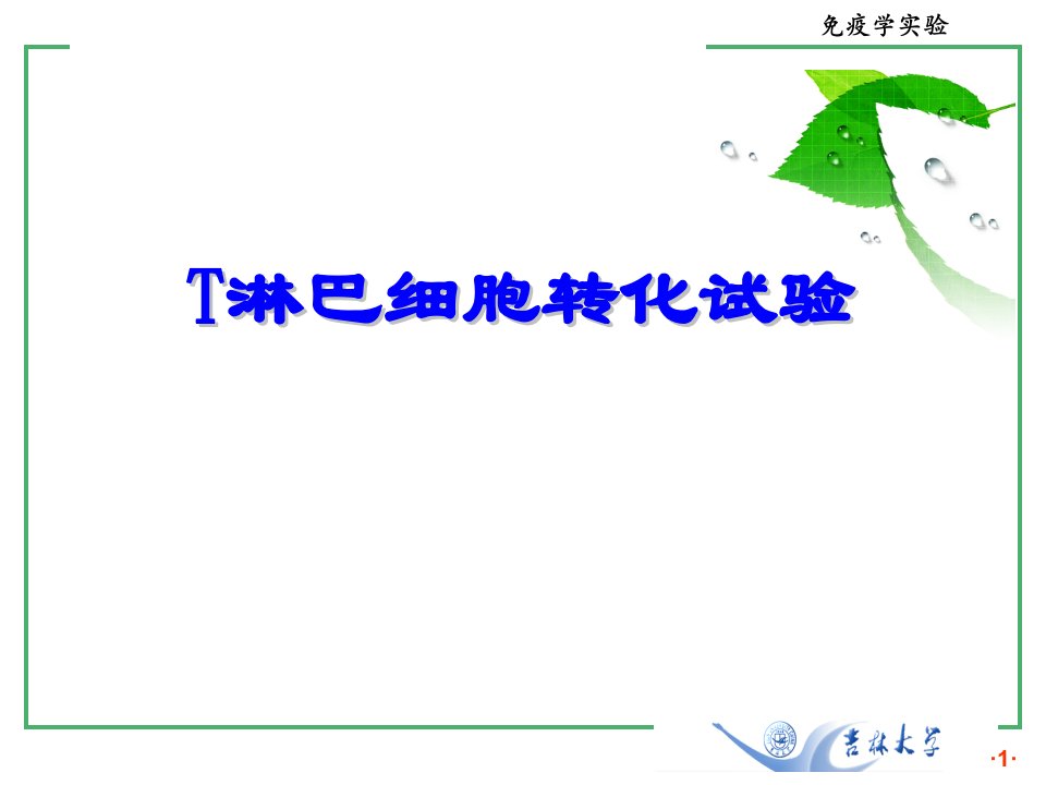 医学免疫学实验：T淋巴细胞转化试验