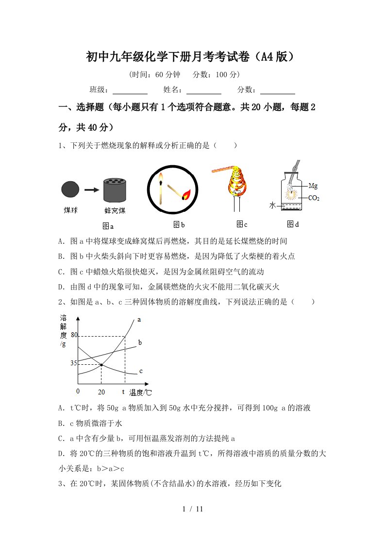 初中九年级化学下册月考考试卷A4版