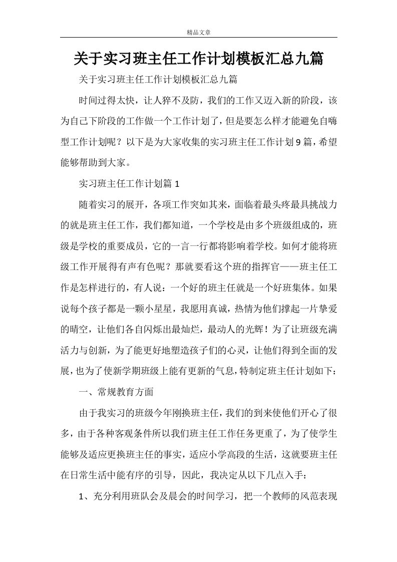 关于实习班主任工作计划模板汇总九篇