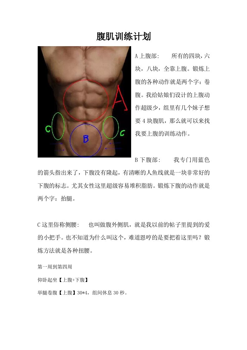 腹肌训练计划