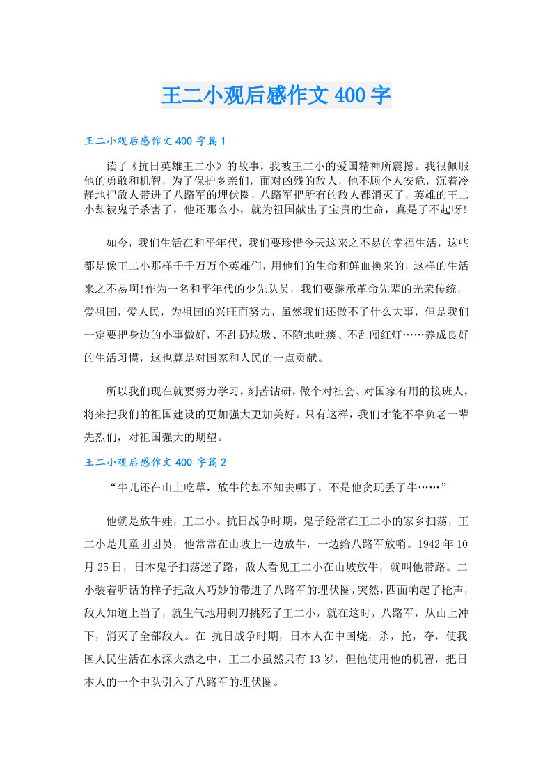 王二小观后感作文400字