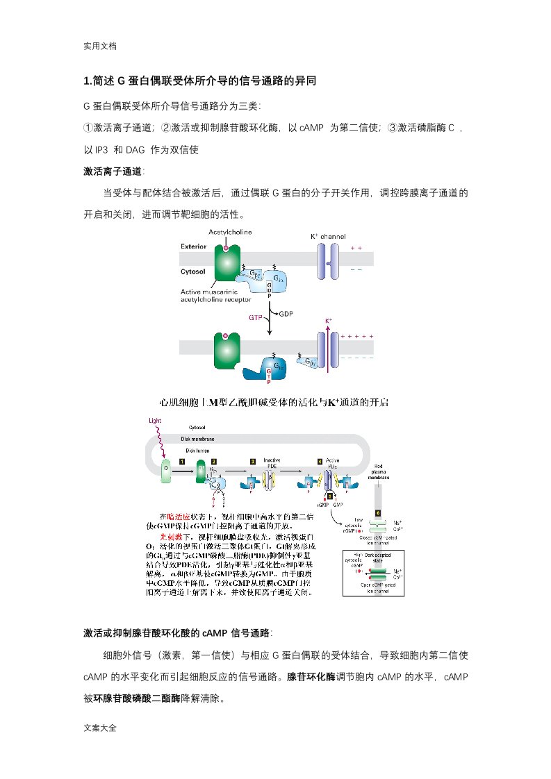 细胞生物学简答题整理